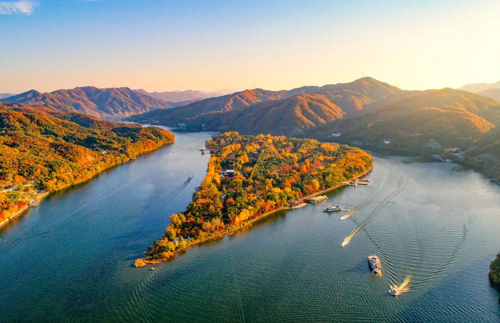 Seoul Nami Island Premium Experience